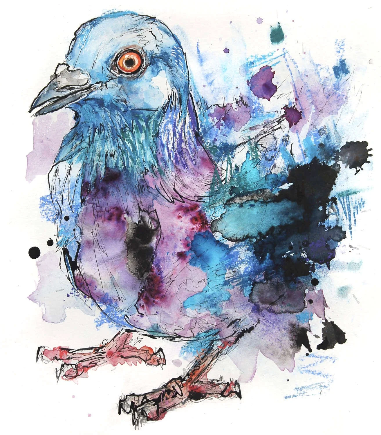 pigeon-4-2019.jpg