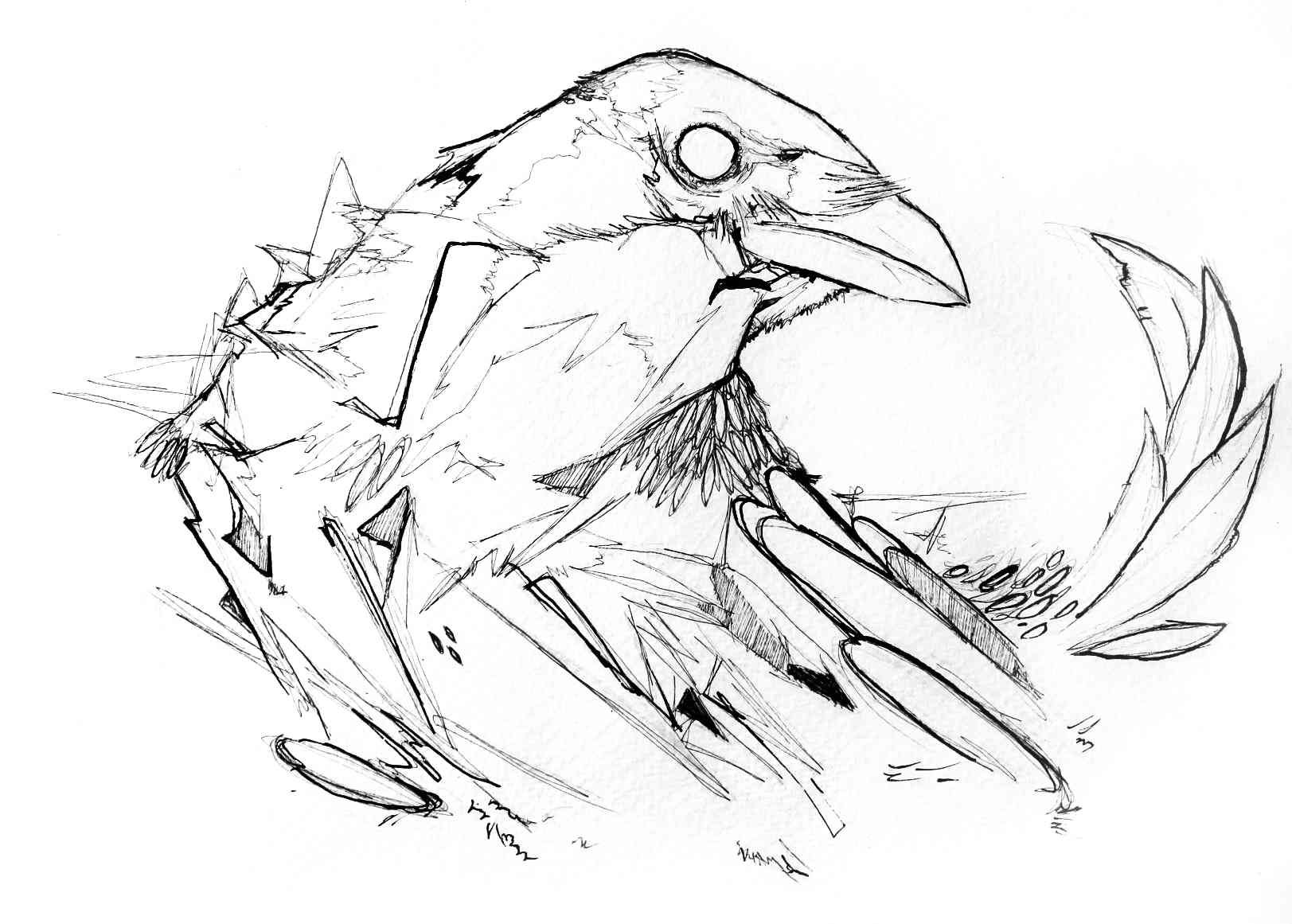 Share 133+ crow easy drawing