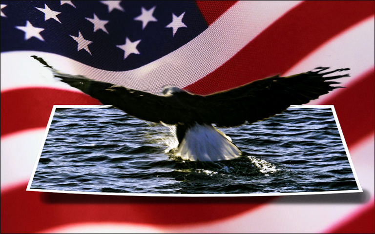 american-flag-eagle.jpg
