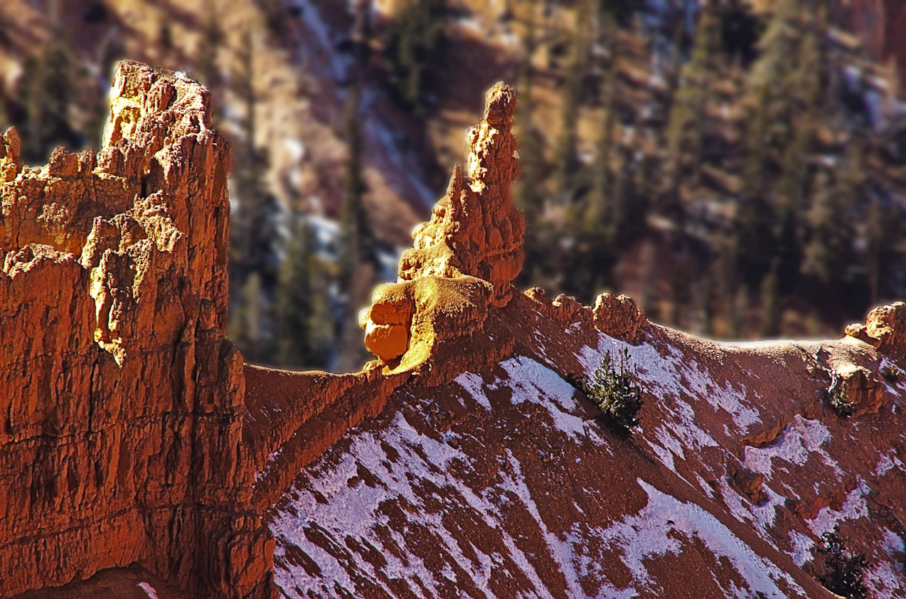 Cedar Breaks National Monument, Utah