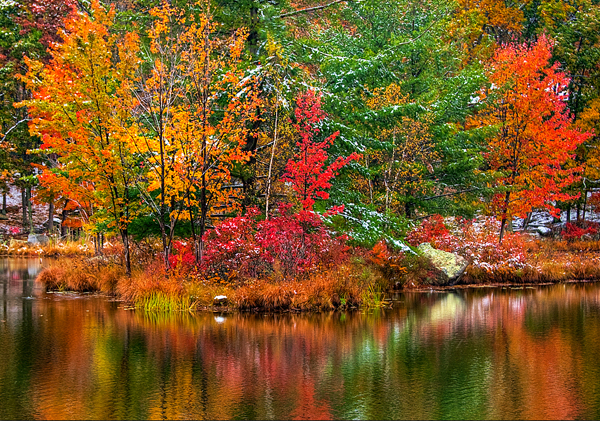 Foliage and snow in October - 1.jpg