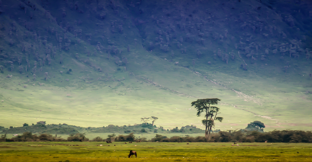 Ngorogoro Crater, Tanzania