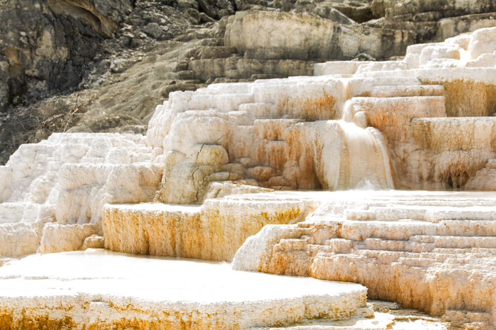 Mammoth -5, Yellowstone