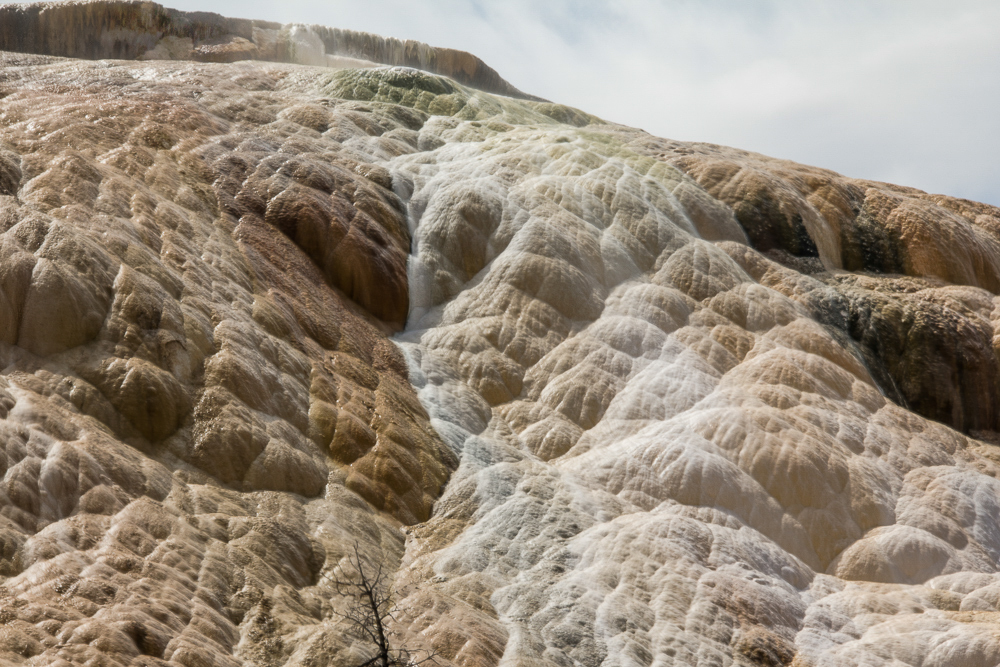 Mammoth -7, Yellowstone