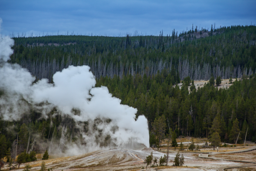 Lion Geyser, Yellowstone