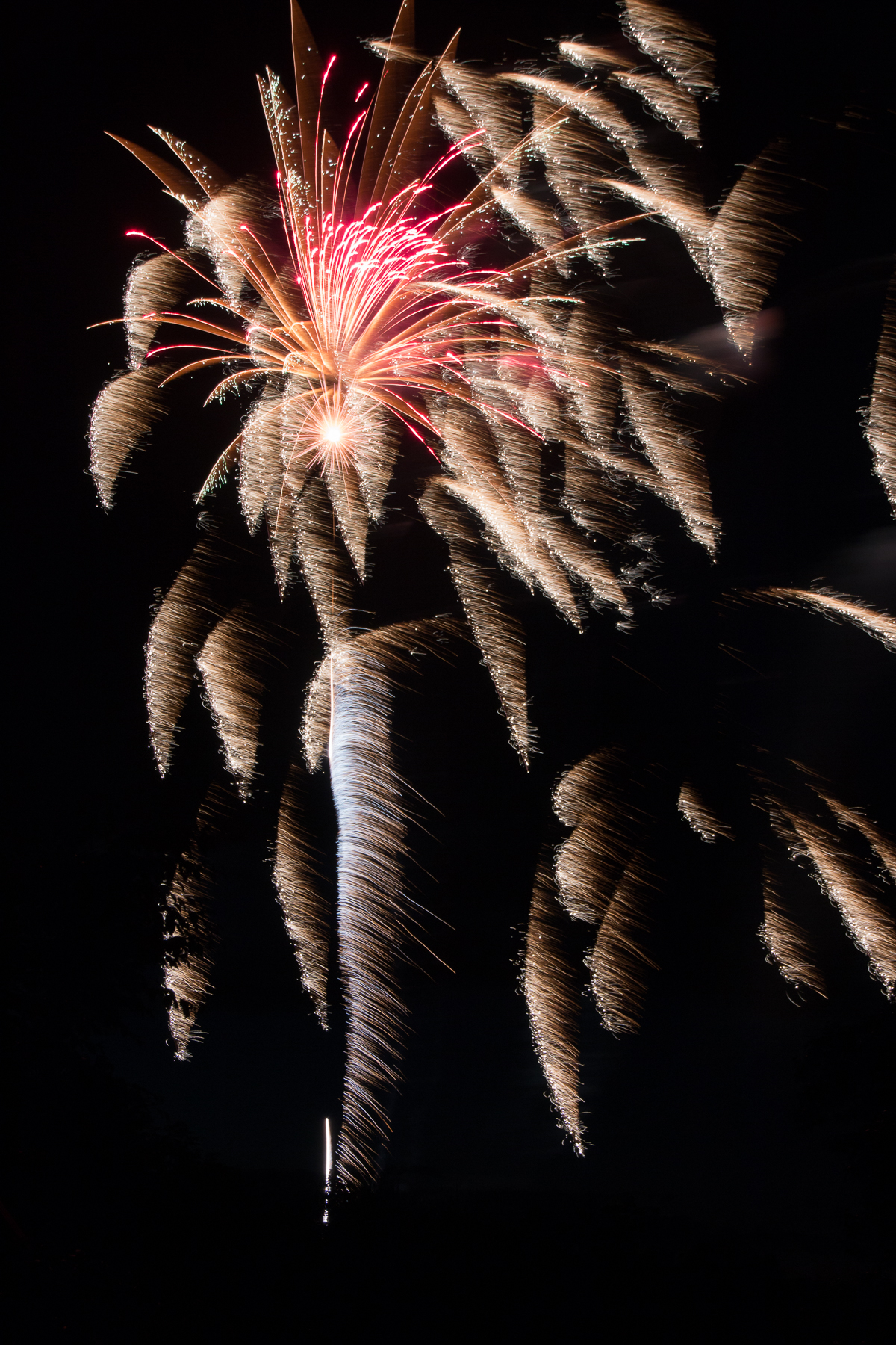 HF-July4-16-1109.jpg