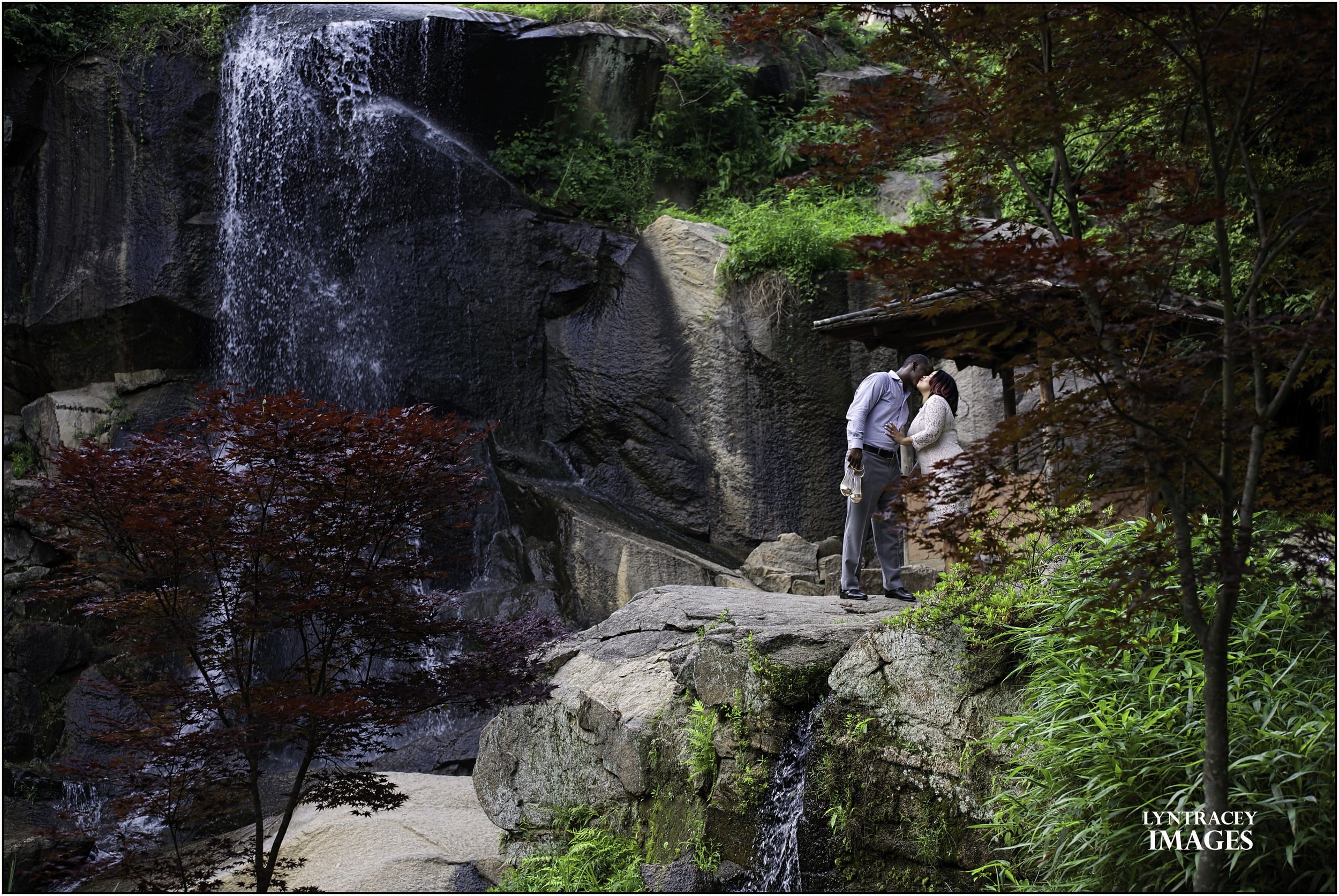 DSC_4576-Edit.jpg