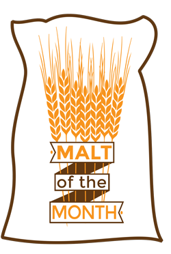 WM_MOTM_Logo_Web.jpg