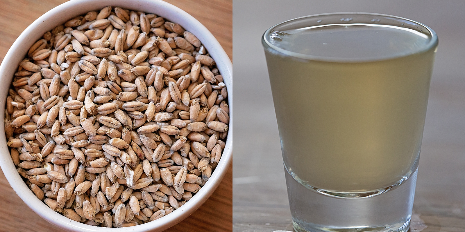 VM-Triticale.png
