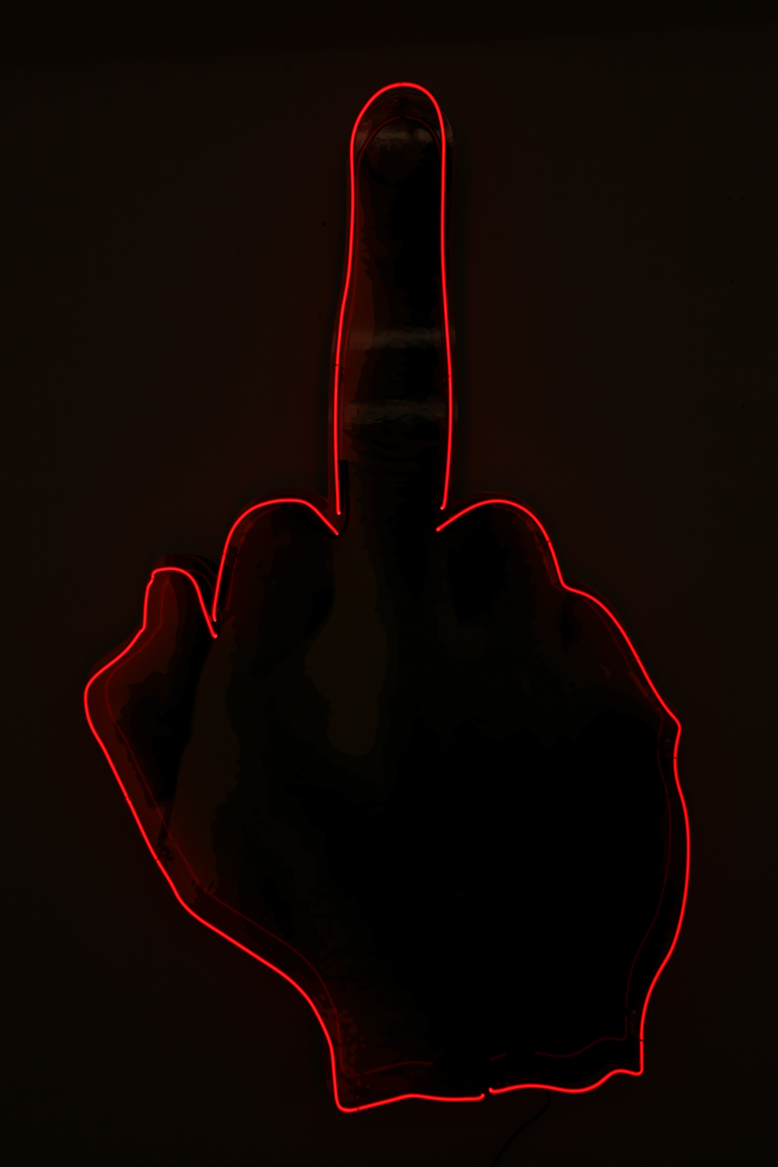 Middle Class Finger NEON 3.JPG