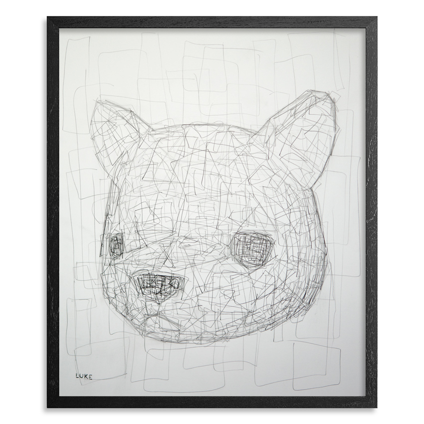 Bear Texture Study 14 x 17 Inch Graphite on 100lb Bristol Paper 1 inch black wood frame & UV glass and acid free backing SOLD