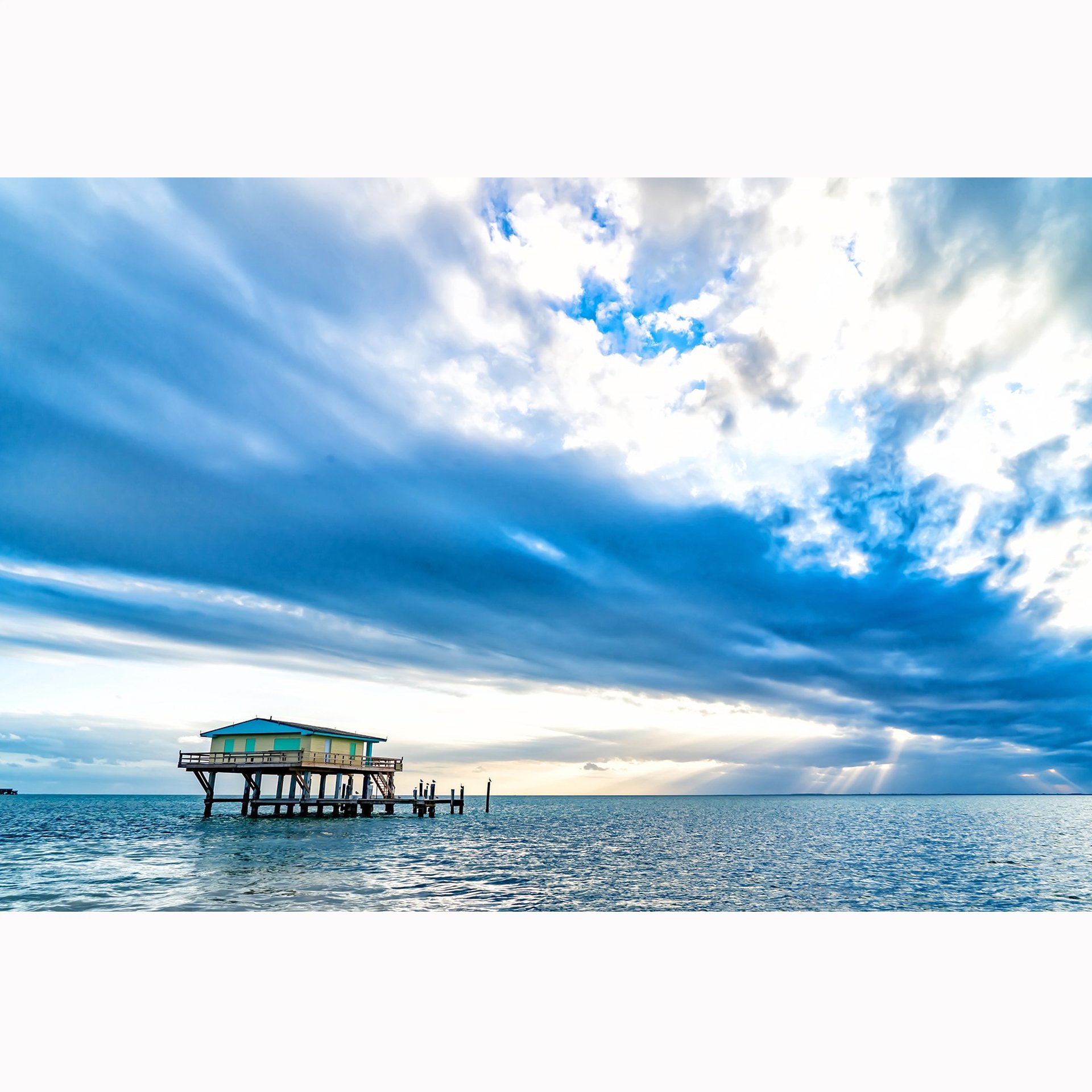 Image 1-13-26 at 1.01 PM.jpg