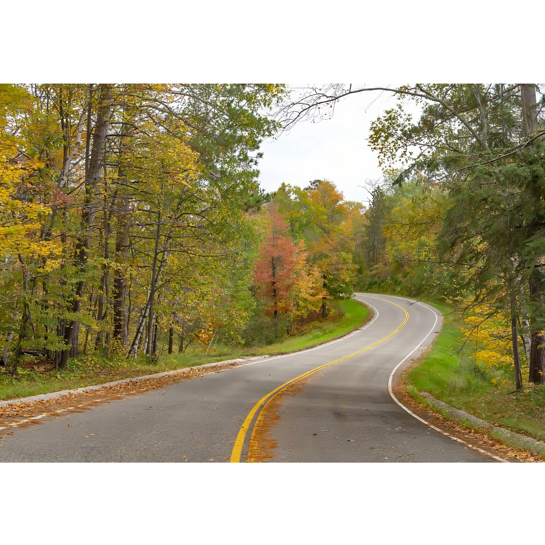 Fall Road with Curves.jpg