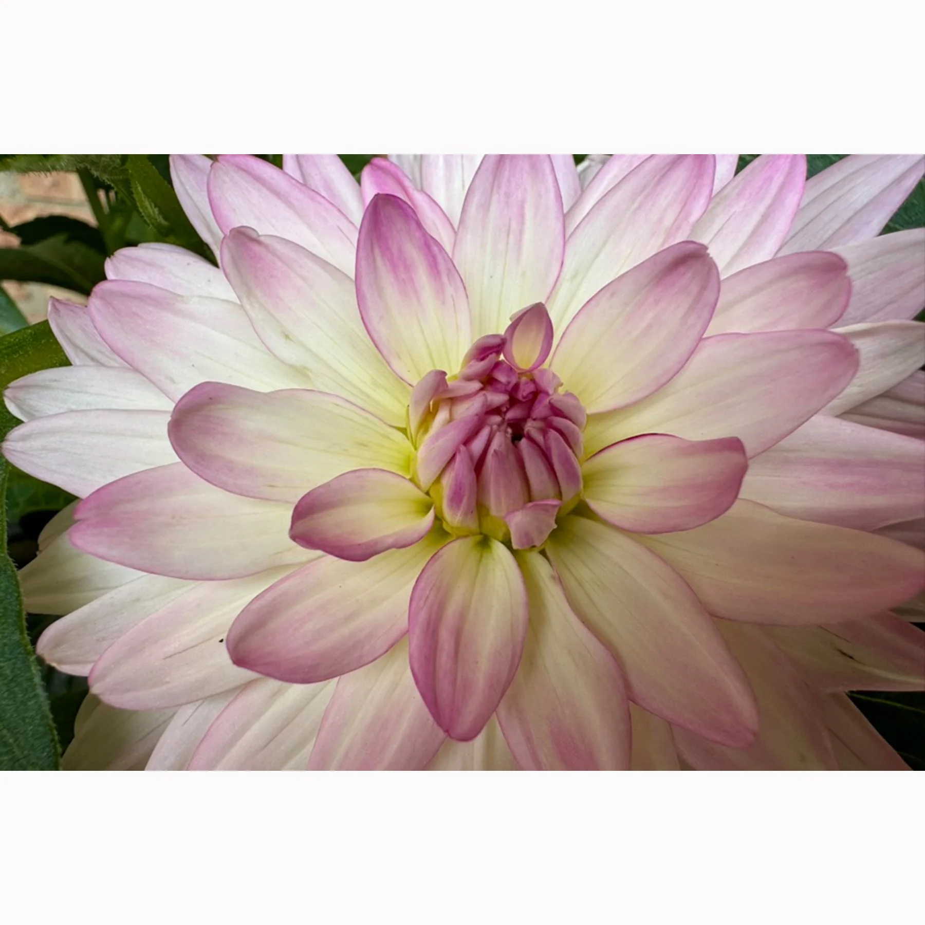 Image 1-13-26 at 1.19 PM.jpg