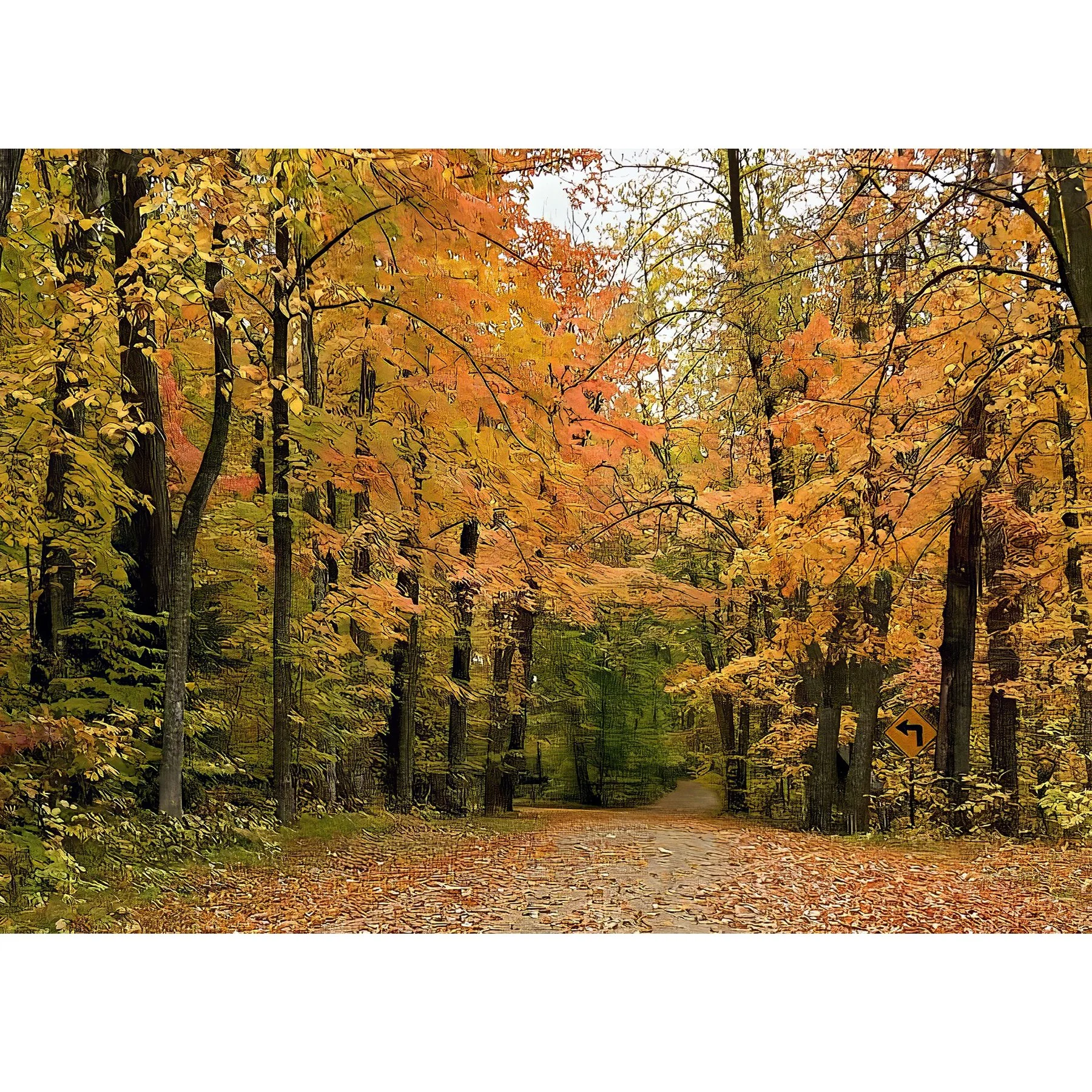 Fall Road 4.jpg