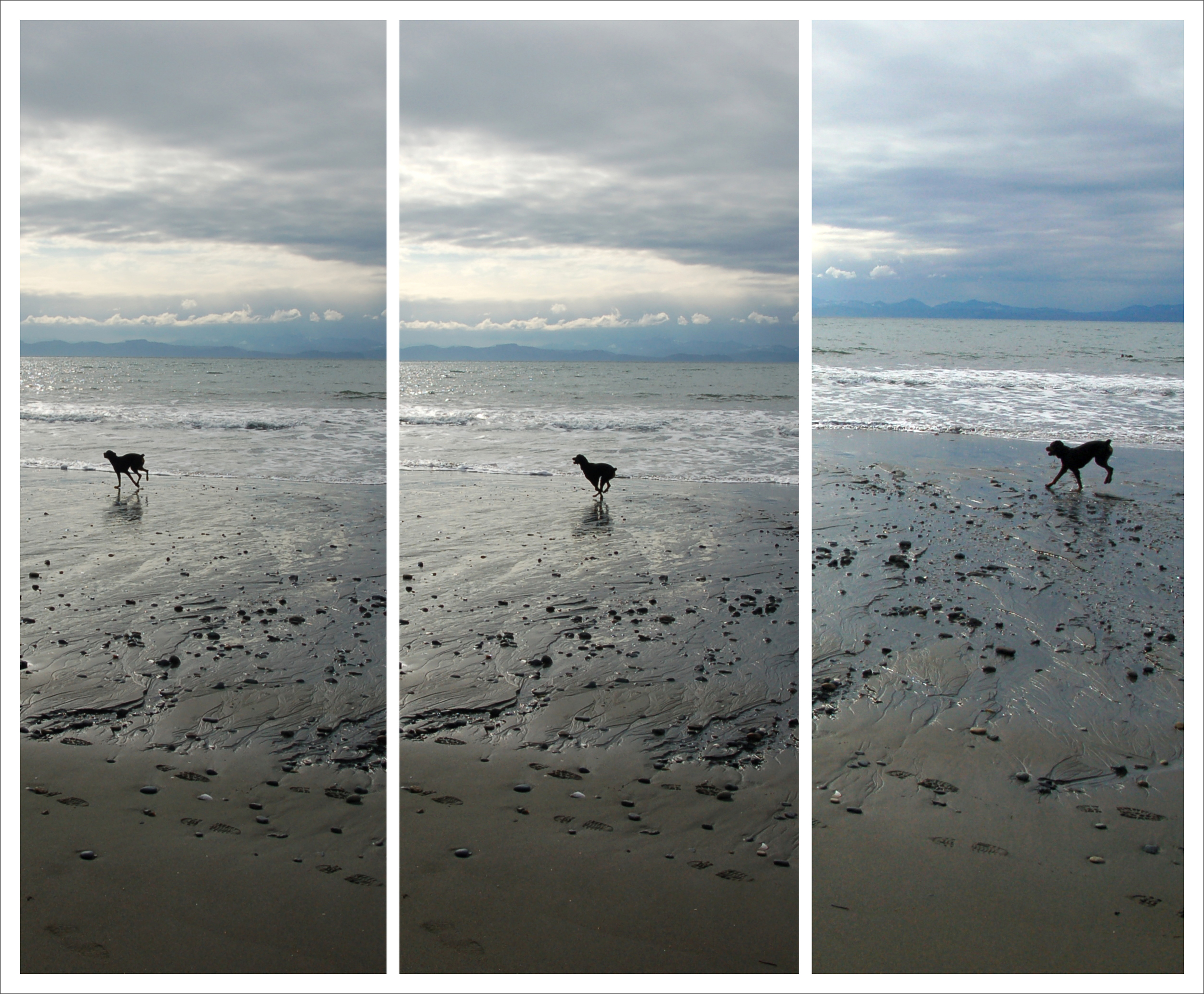 Run Marley, Run