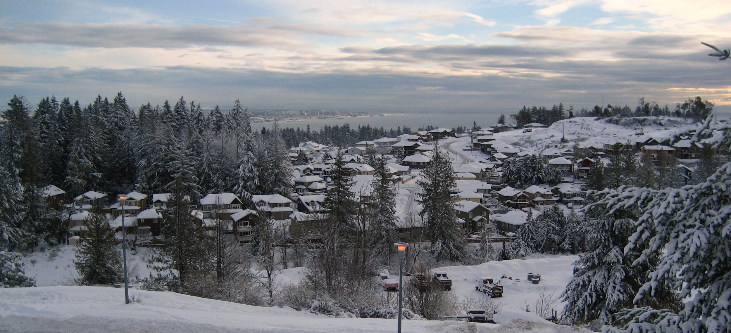Winter Wonderland