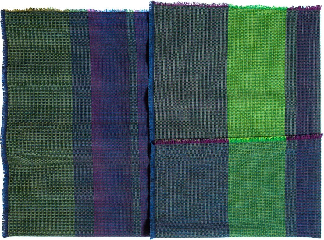 plaid zebra WEB.jpg