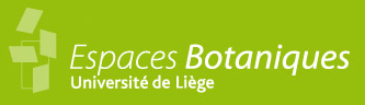 Merci à l' observatoire du monde des plantes d'avoir accueilli le shooting de la collection "histoires naturelles"!