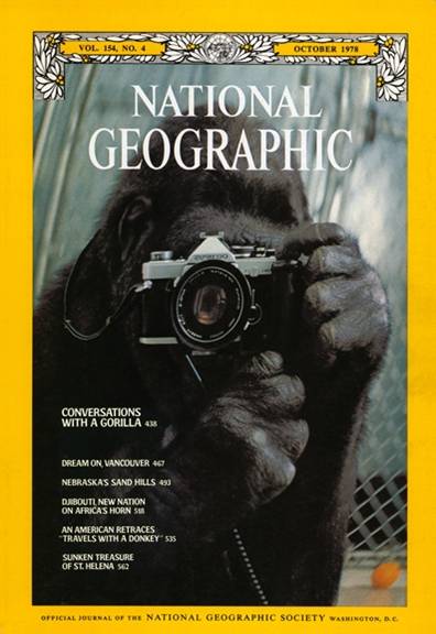 NationalGeographic-Top40Covers-37.jpg