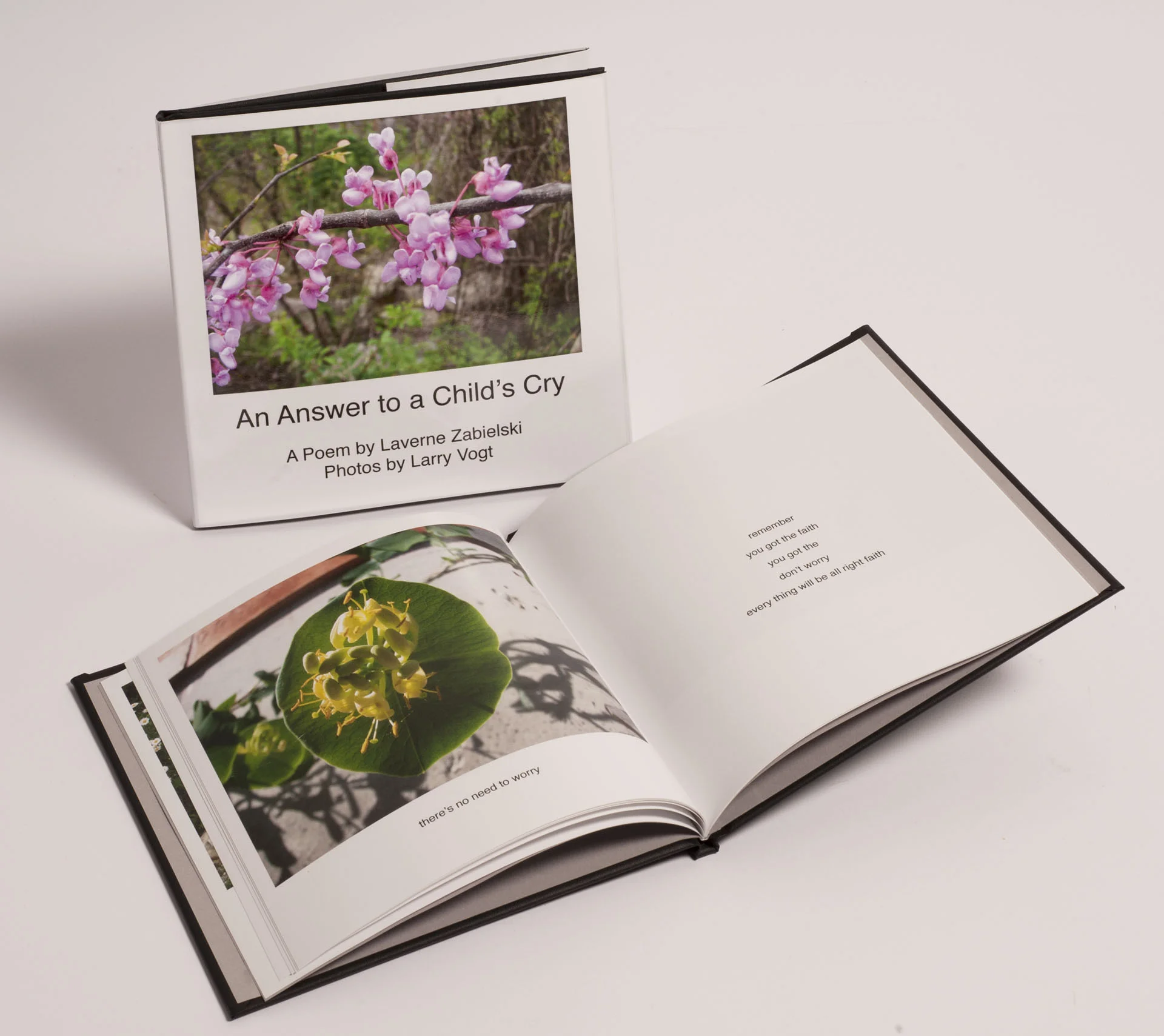 An Answer to a Child's Cry