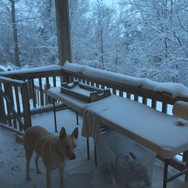 Outside, the table is still covered with snow and it is sooooo cold. I take my shibori poles indoors to the sink.