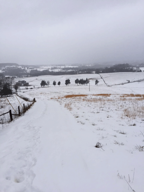 Later today we will hike down the lane, retrieve our car at the bottom and head for town!
