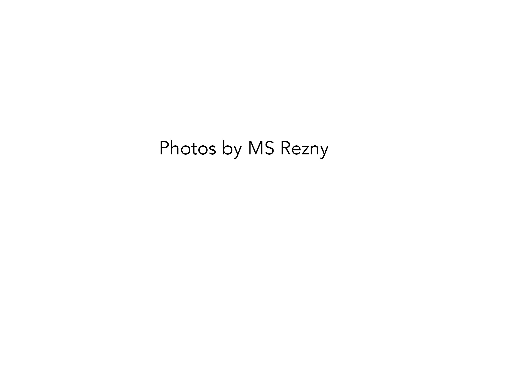 MS Rezny.jpg