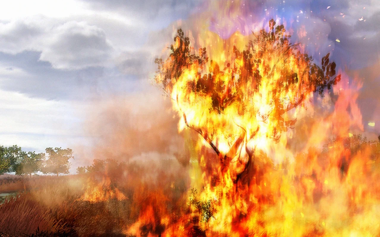 far_cry_2_fire_2.jpg