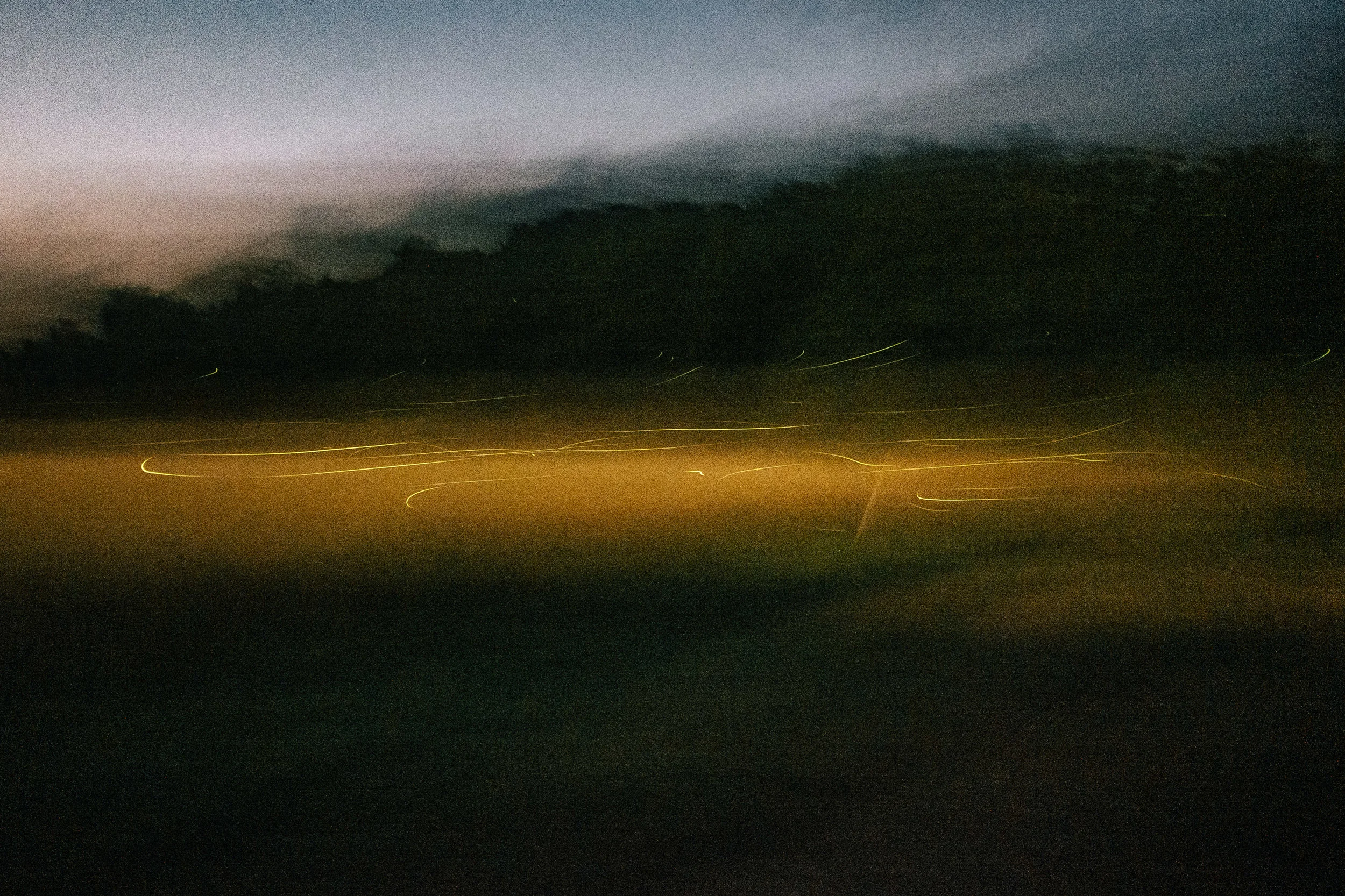 Fireflies-5.jpg