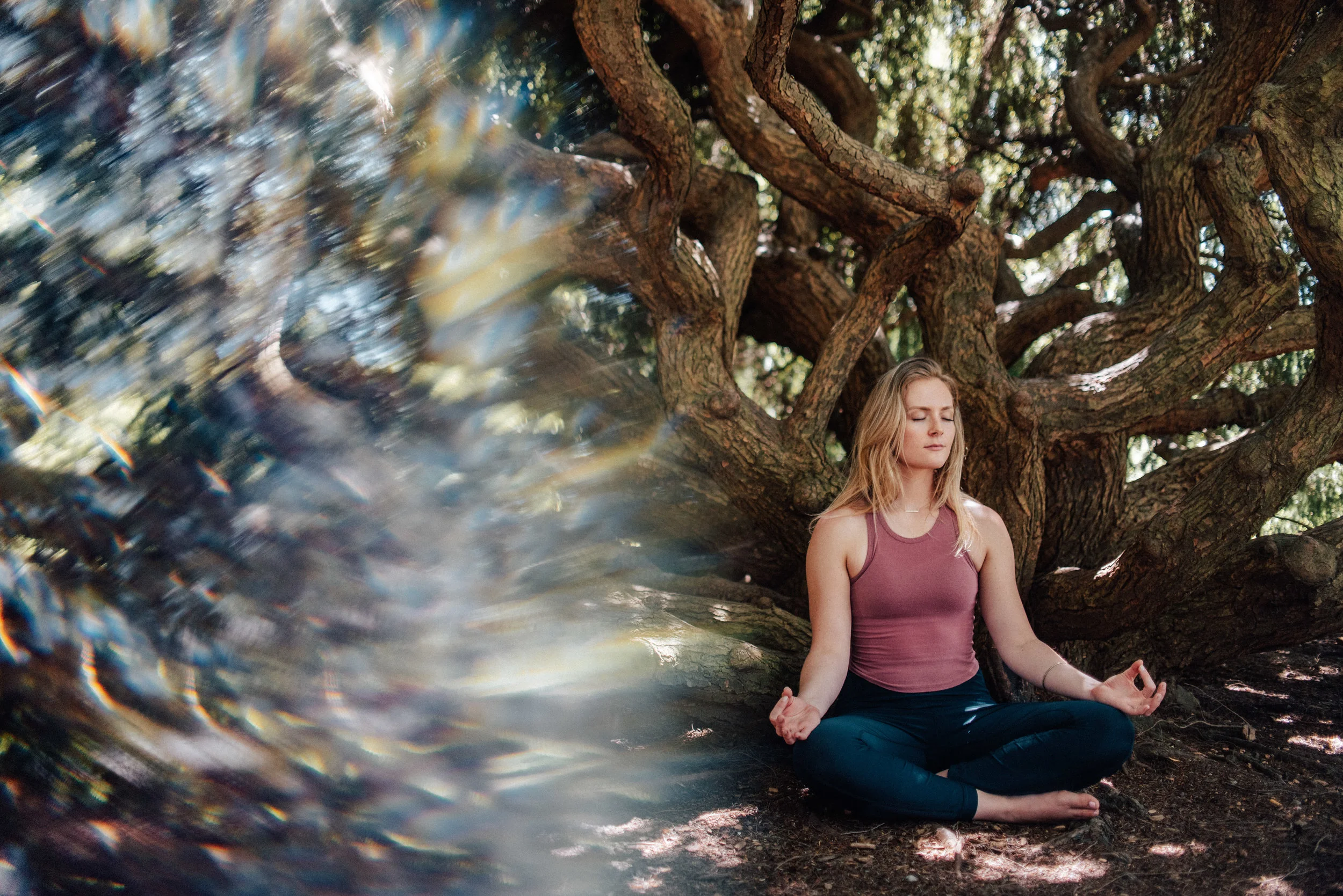 YogiAmber-85.jpg
