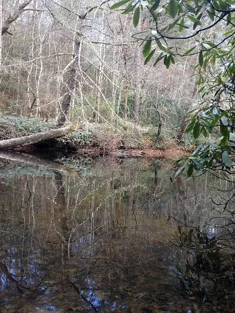 river a