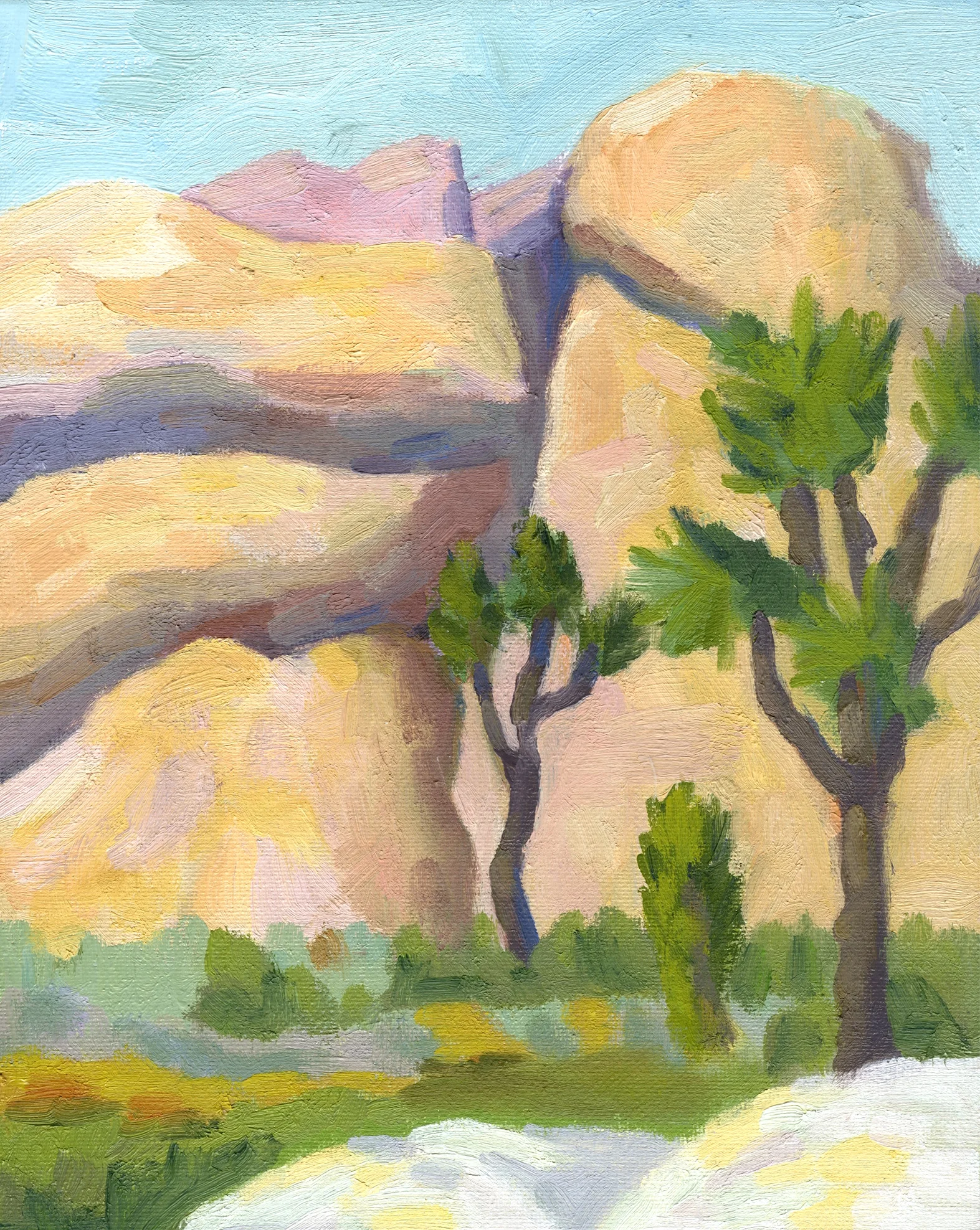 Joshua Tree Morning