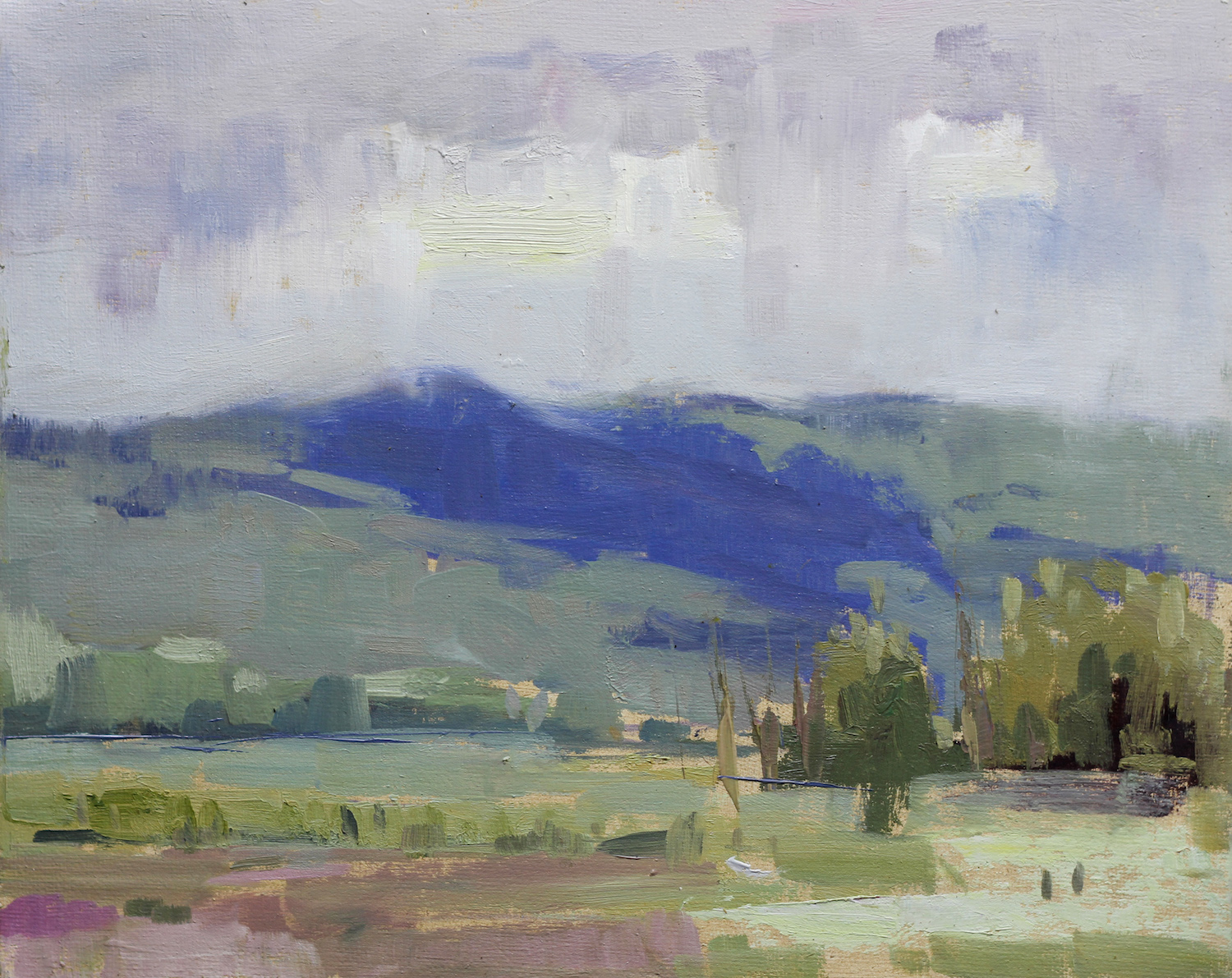Sauvie Island Rain Across The Mountains