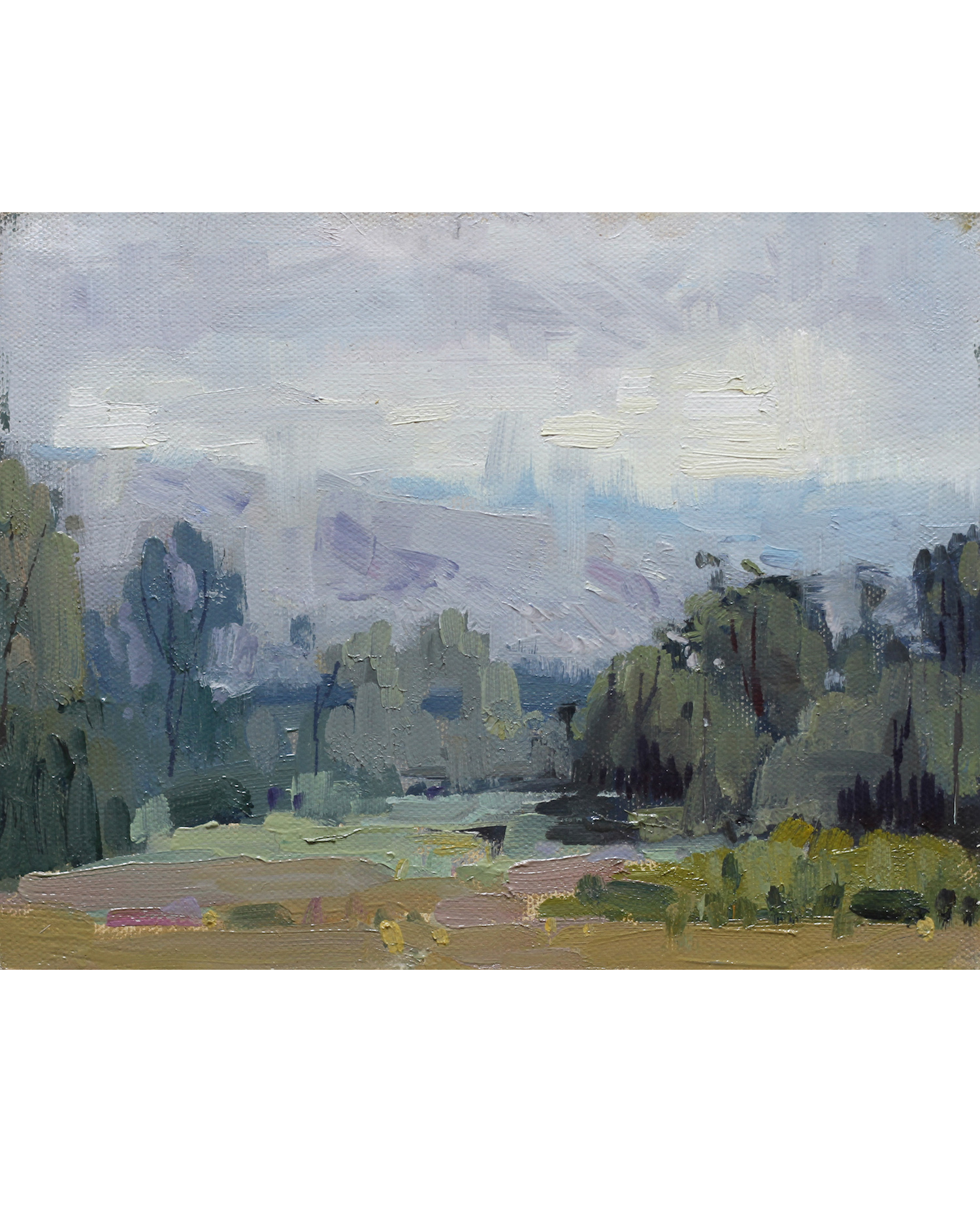 Misty Hills