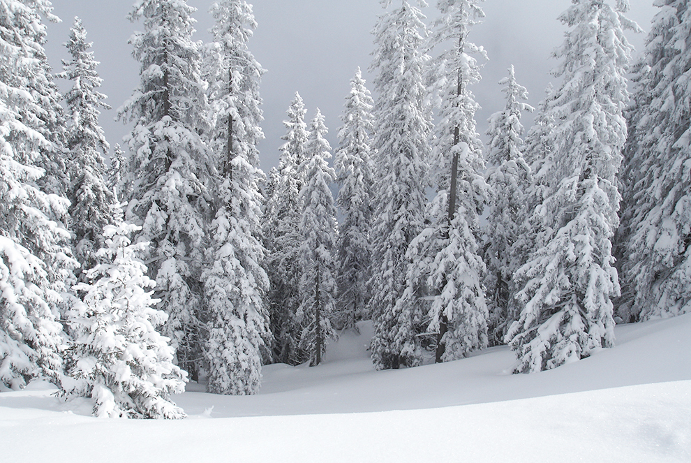  from a ​ski lift 