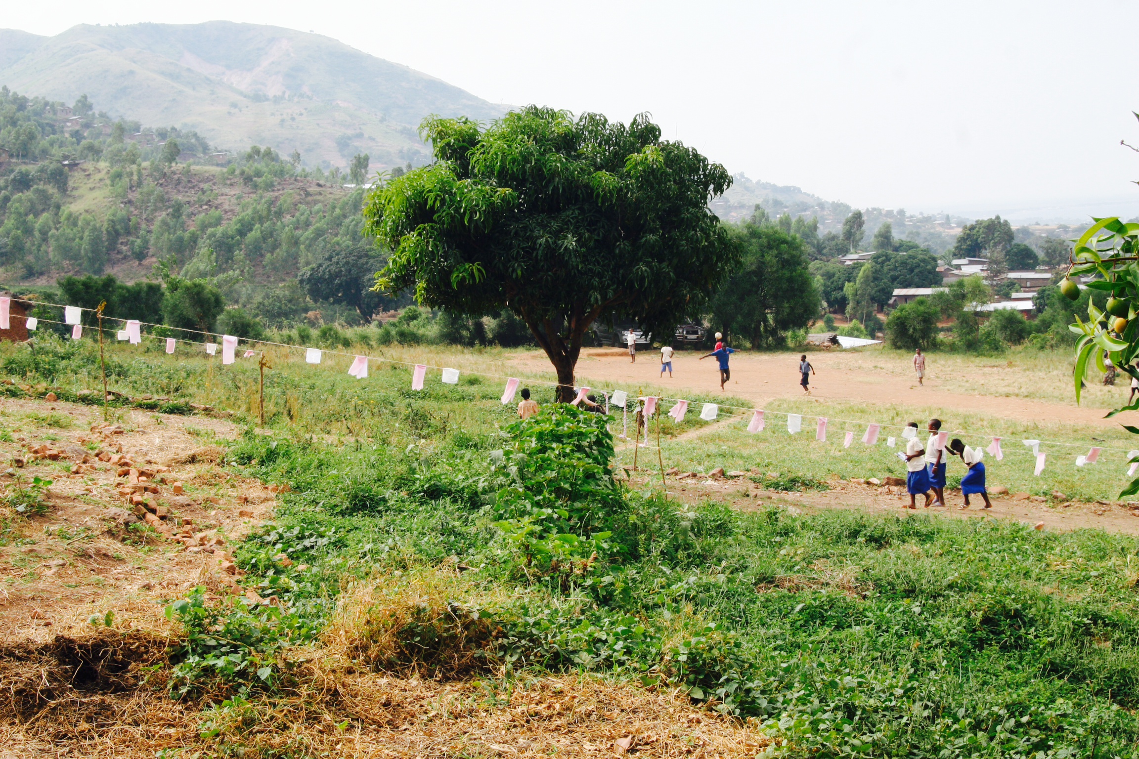 Mango Tree School, Kicheko, Congo