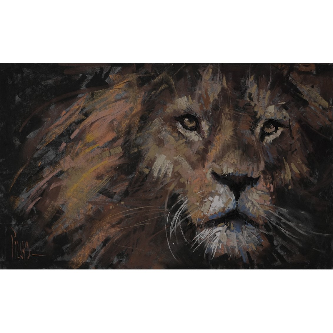 Lion_WEB SQ.jpg