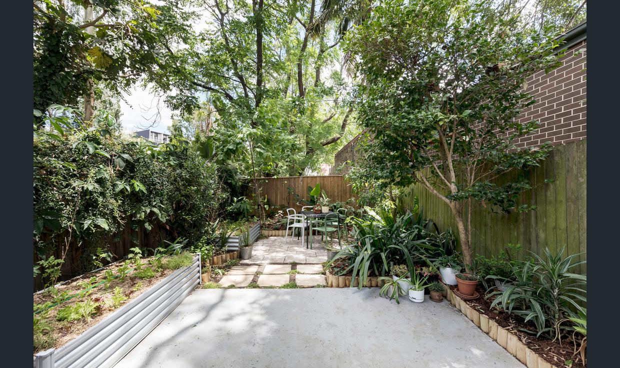 Backyard.jpg