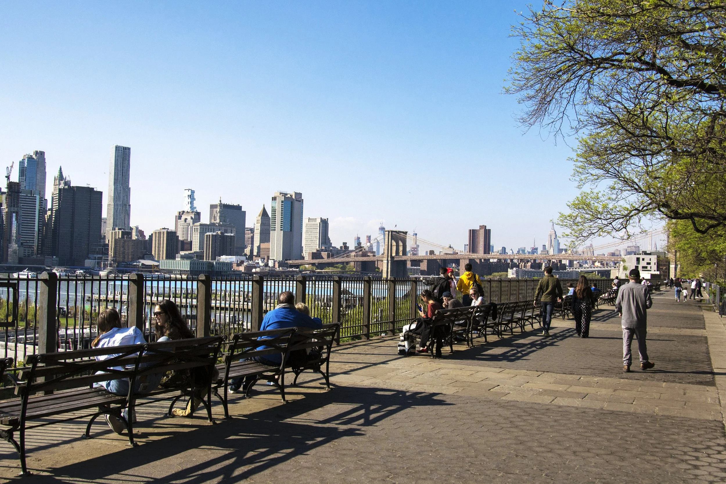 Promenade-Brooklyn-Heights-Brooklyn-NYC-Molly-Flores.jpg