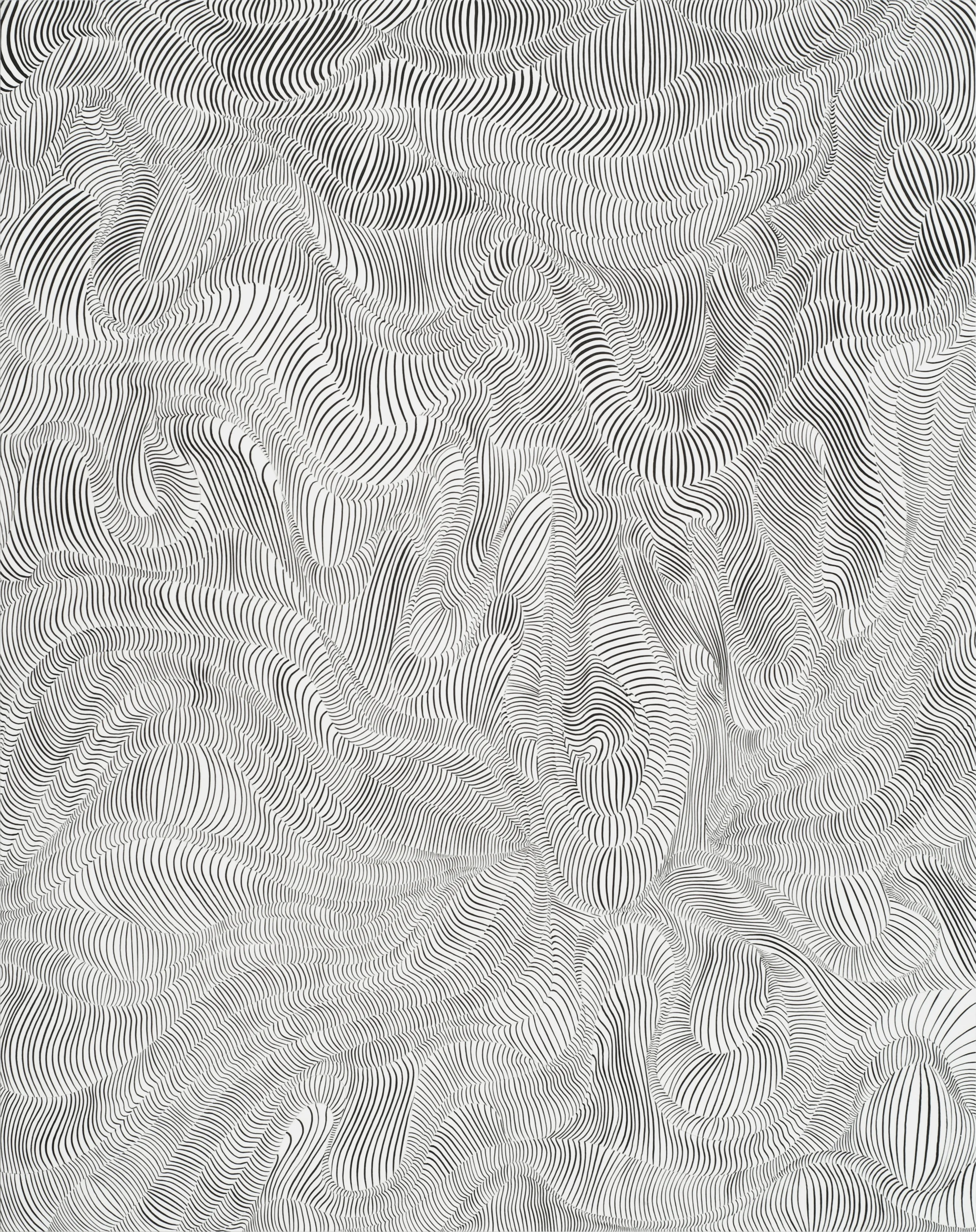  Dead Spots, ink on paper, 24x19"&nbsp; 2014 