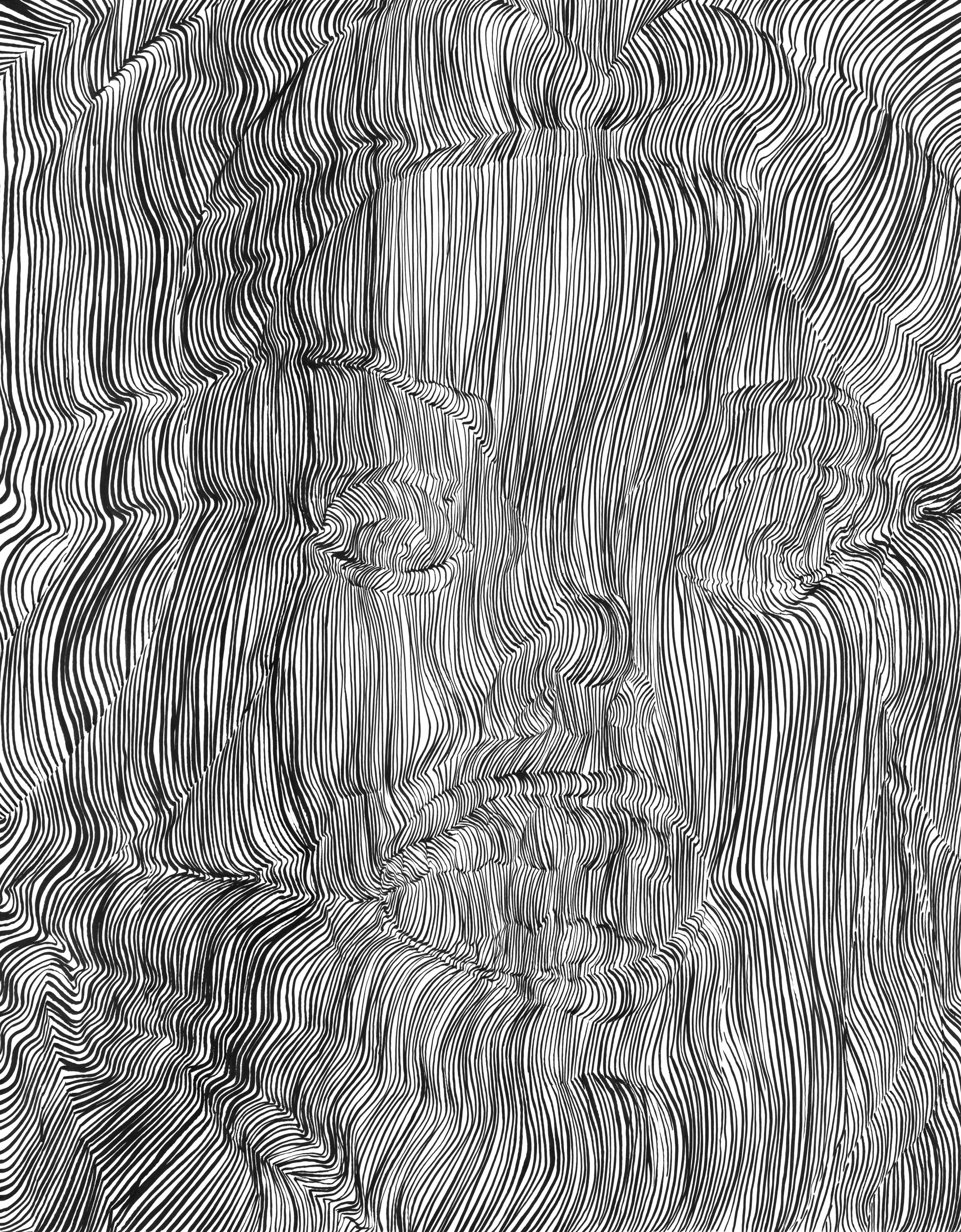  Fauv, ink on paper, 14x11" 2014 