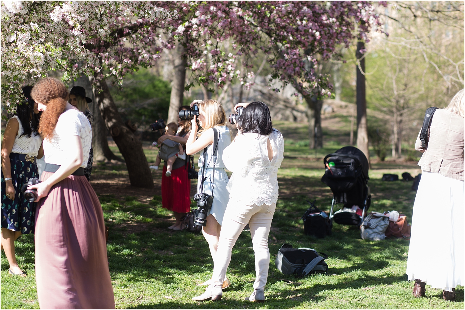 NYC Cherry Blossom 