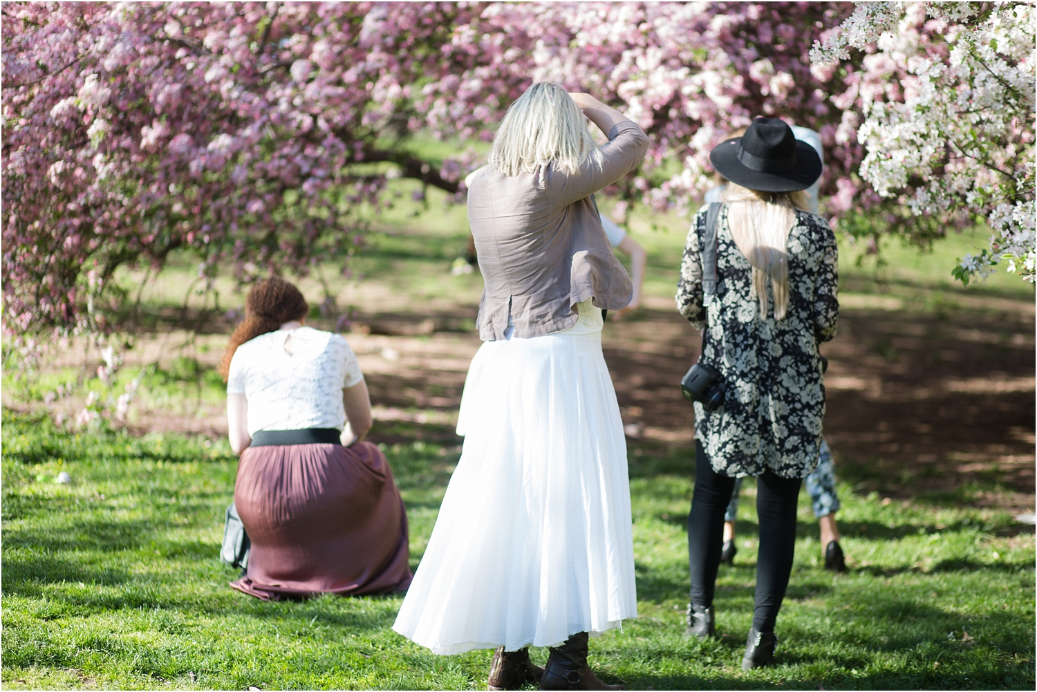 NYC Cherry Blossom 