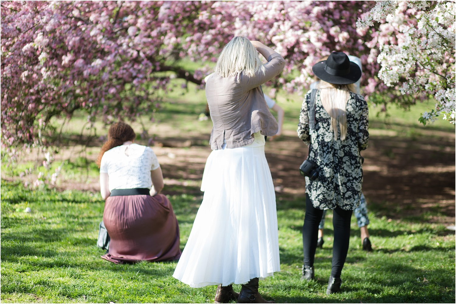 NYC Cherry Blossom