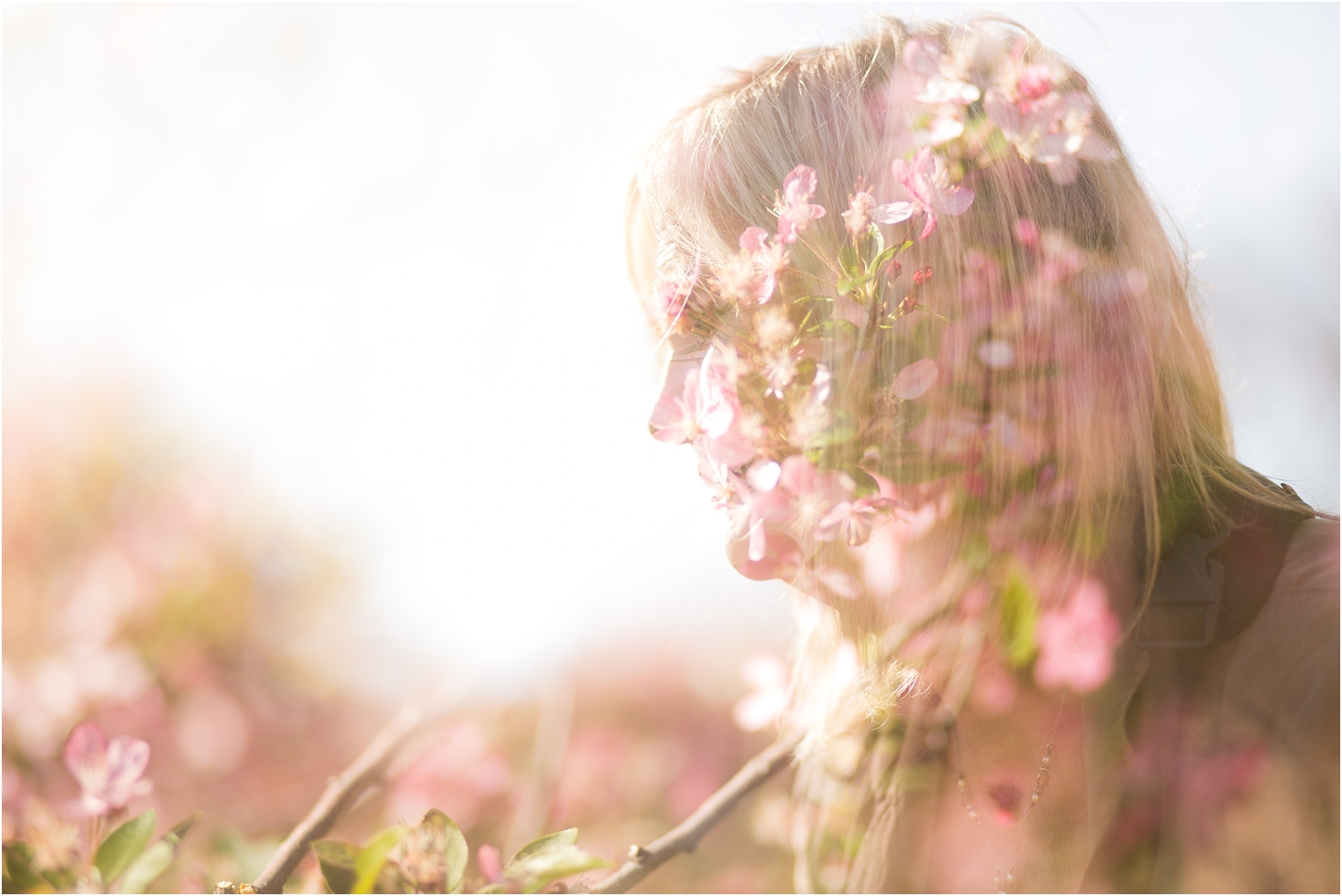 NYC Cherry Blossom Double Exposure