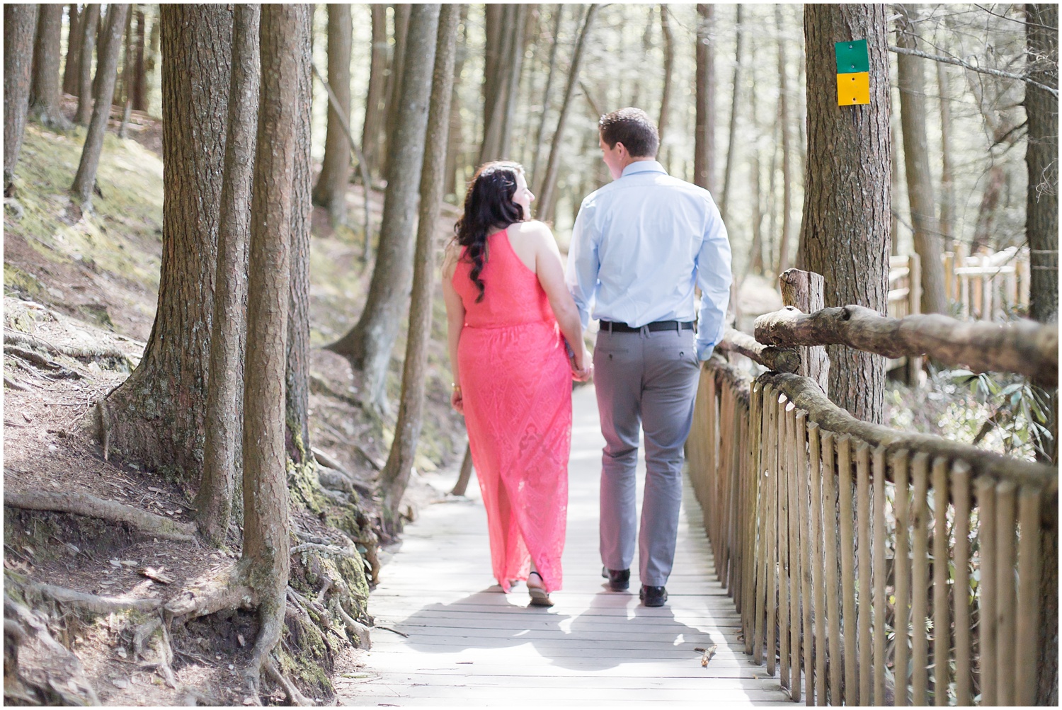 Bushkill Falls Engagement Session