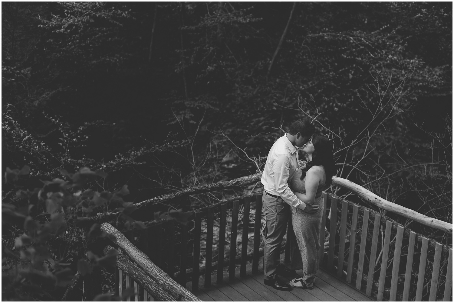 Bushkill Falls Engagement Session