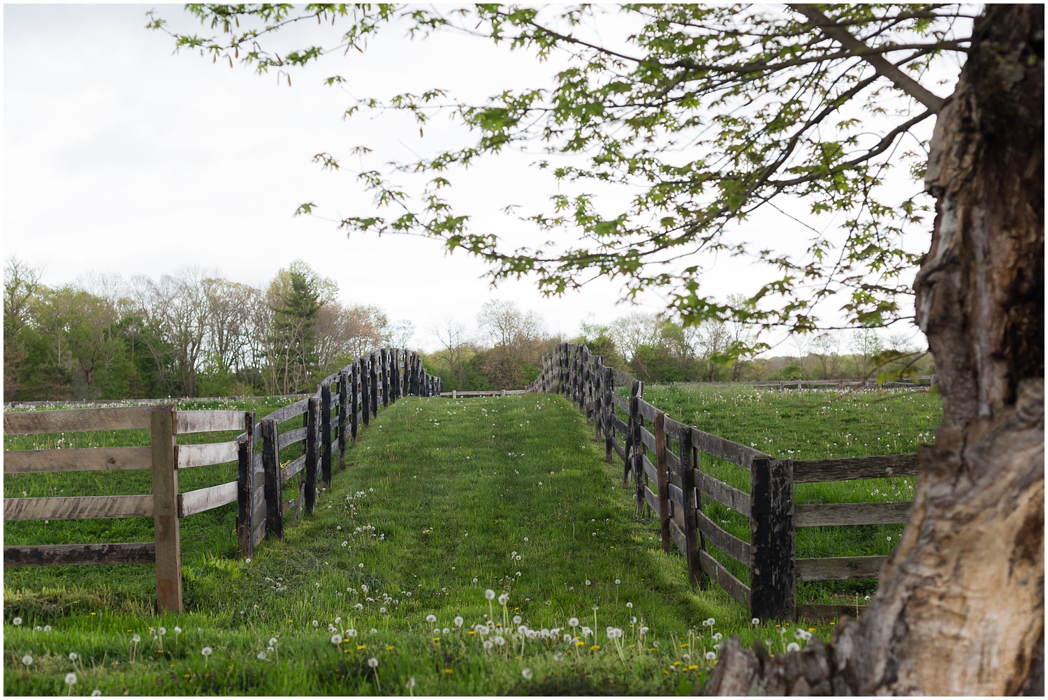 Sterlingbrook Farm and Events | Pittstown NJ Wedding Venue