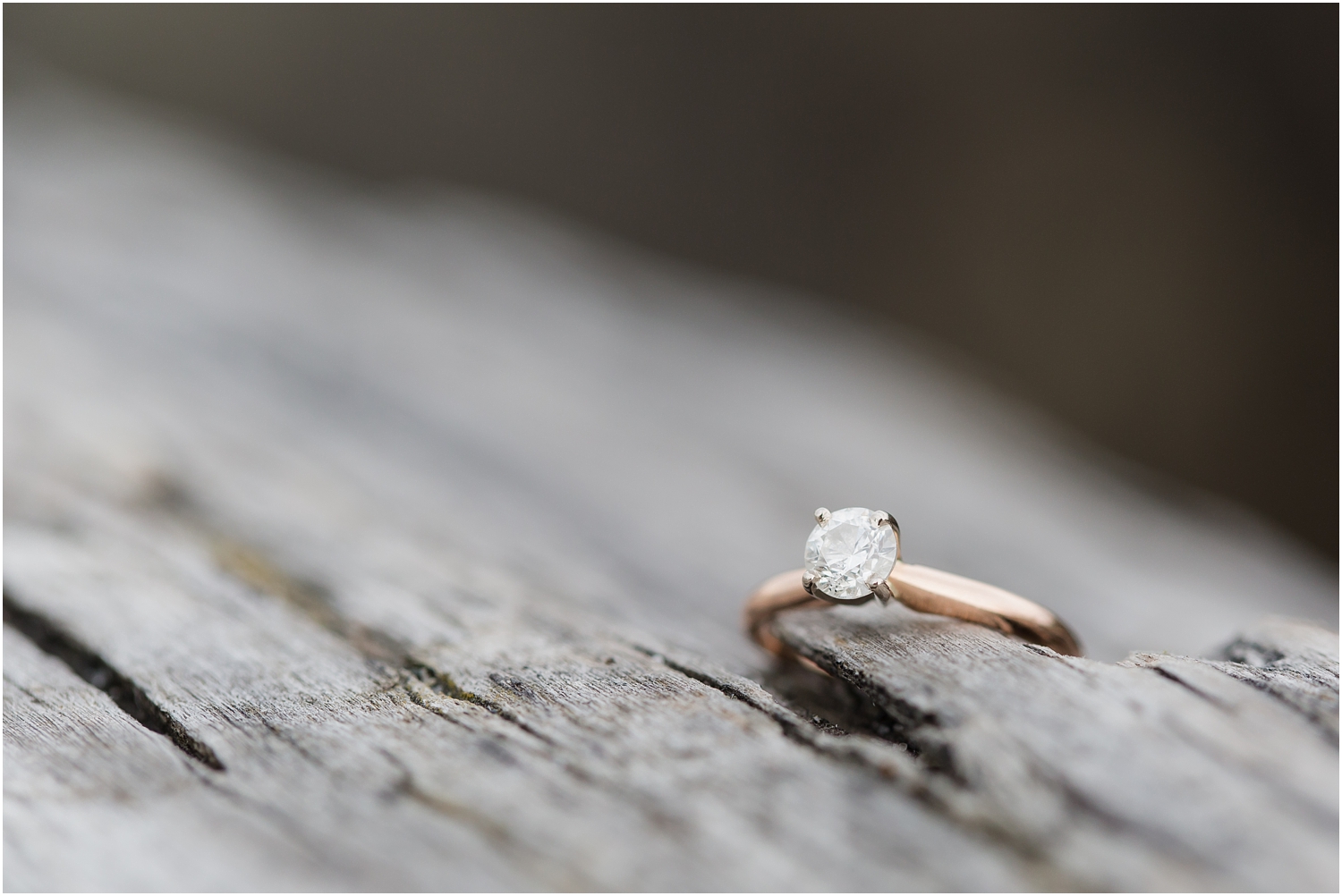 Mukilteo Engagement Session | Cinnamon Wolfe Photography